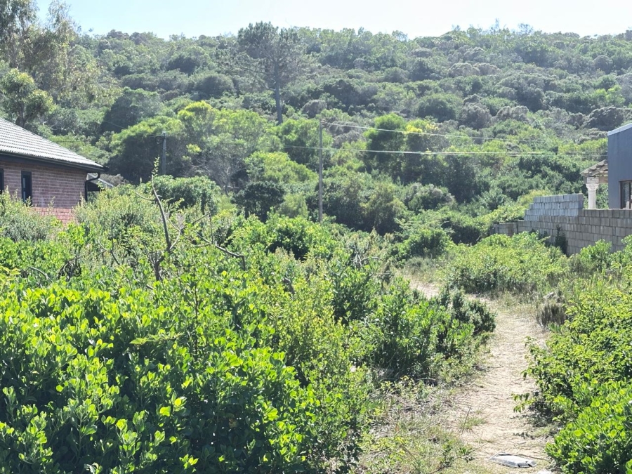 0 Bedroom Property for Sale in Kleinkrantz Western Cape